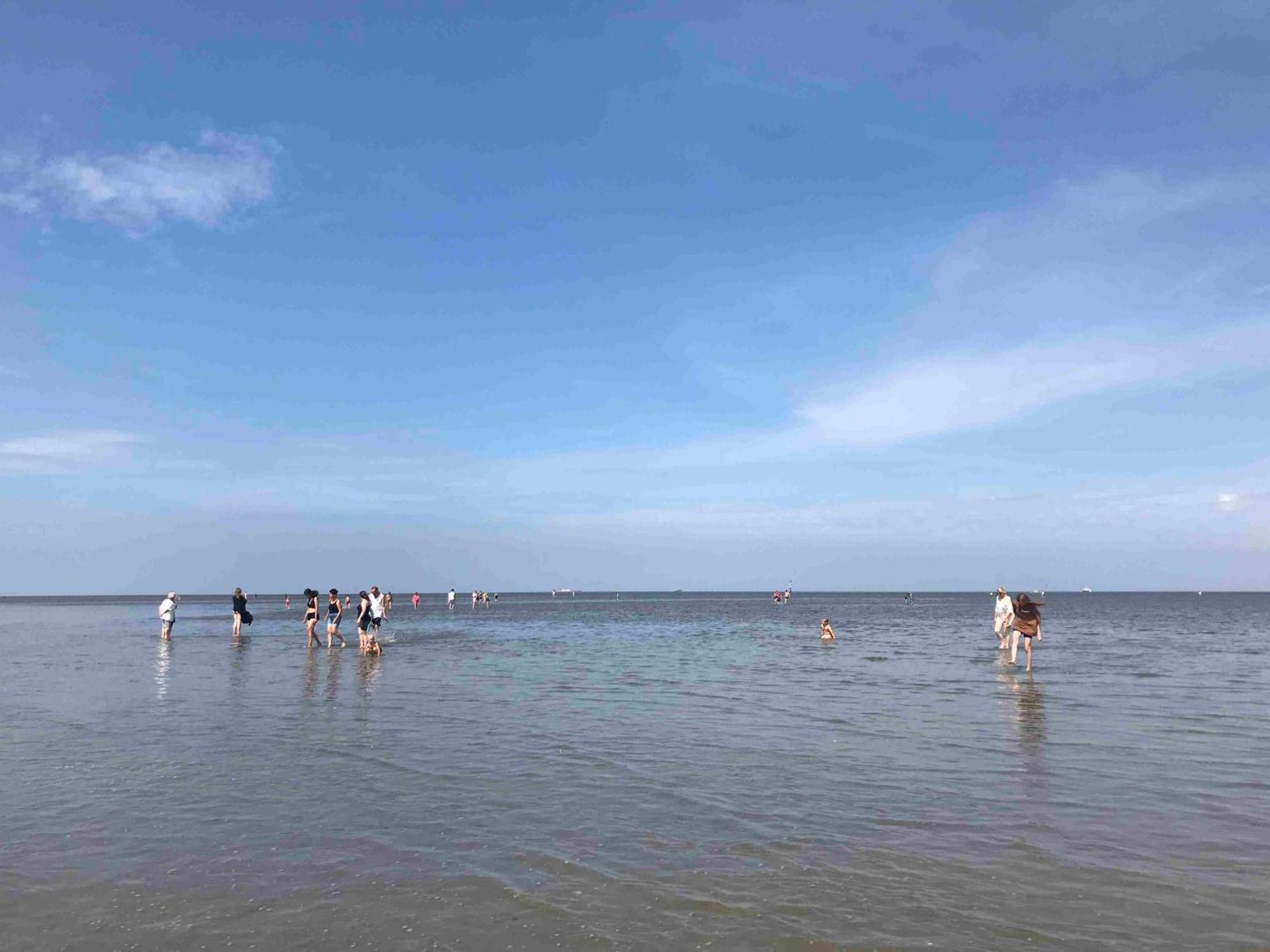 Grünstrand * Cuxhaven