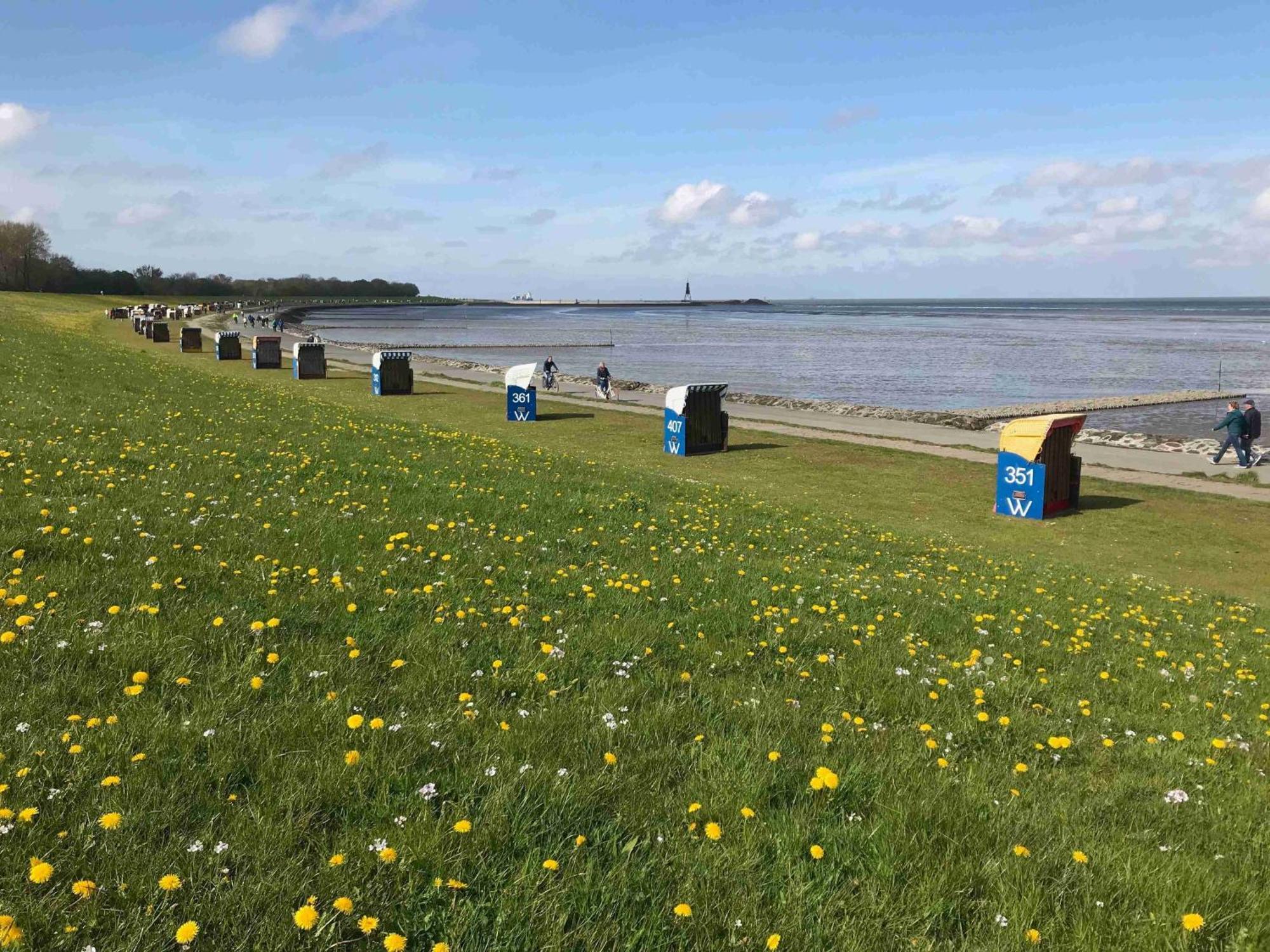 Grünstrand * Cuxhaven